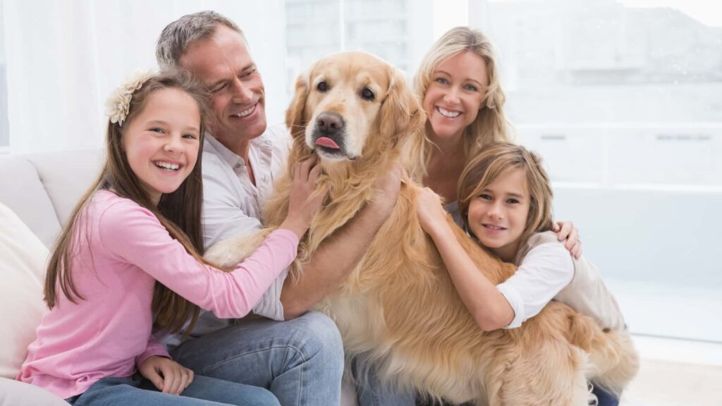 כלבים הידידותיים למשפחות